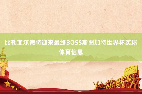 比勒菲尔德将迎来最终BOSS斯图加特世界杯买球体育信息
