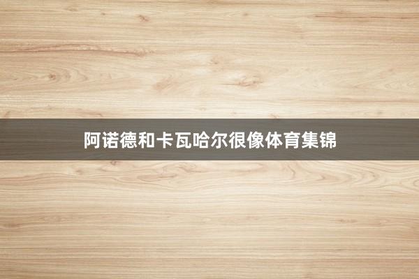 阿诺德和卡瓦哈尔很像体育集锦