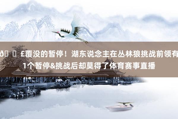 😣覆没的暂停！湖东说念主在丛林狼挑战前领有1个暂停&挑战后却莫得了体育赛事直播