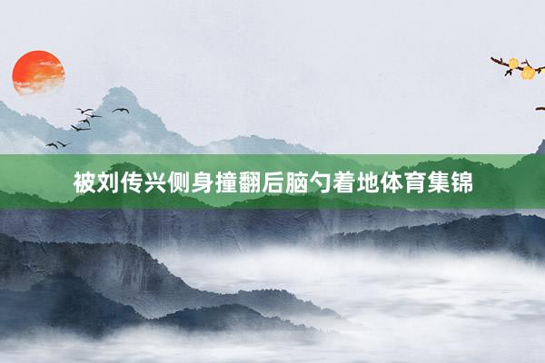 被刘传兴侧身撞翻后脑勺着地体育集锦