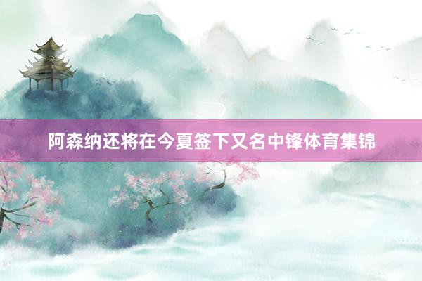 阿森纳还将在今夏签下又名中锋体育集锦