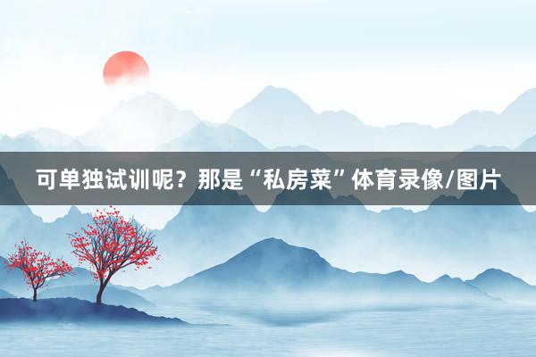 可单独试训呢？那是“私房菜”体育录像/图片