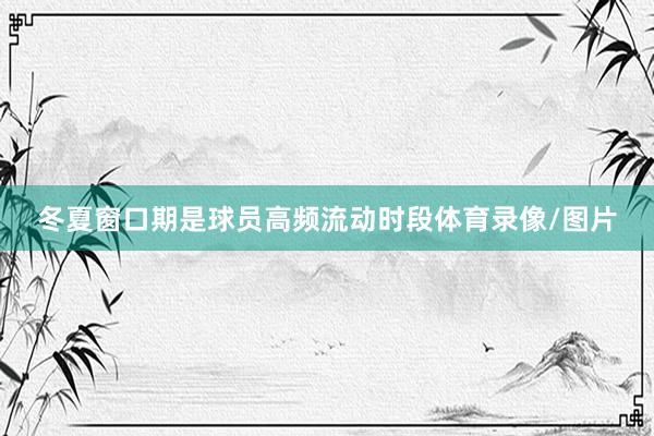 冬夏窗口期是球员高频流动时段体育录像/图片