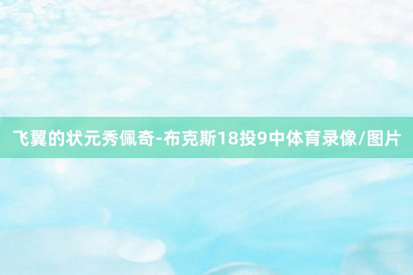 飞翼的状元秀佩奇-布克斯18投9中体育录像/图片