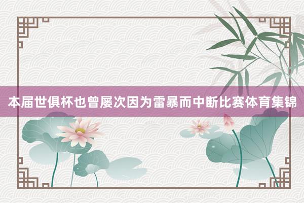 本届世俱杯也曾屡次因为雷暴而中断比赛体育集锦