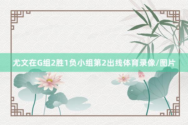 尤文在G组2胜1负小组第2出线体育录像/图片