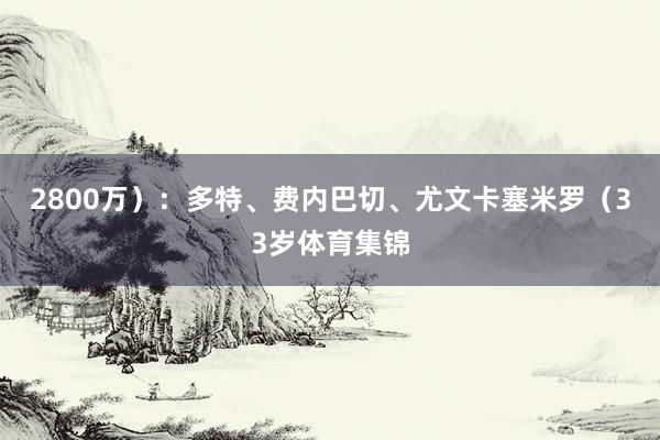 2800万）：多特、费内巴切、尤文卡塞米罗（33岁体育集锦