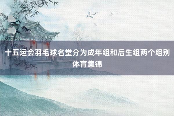 十五运会羽毛球名堂分为成年组和后生组两个组别体育集锦