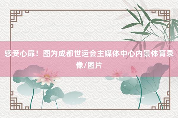 感受心扉！图为成都世运会主媒体中心内景体育录像/图片