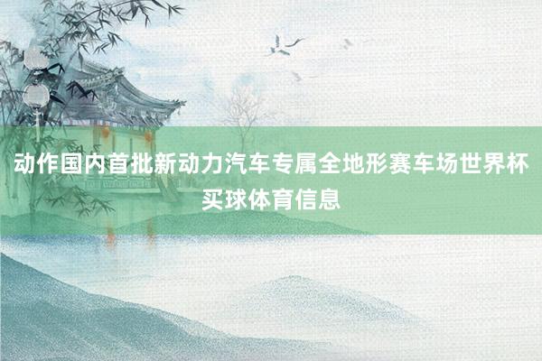 动作国内首批新动力汽车专属全地形赛车场世界杯买球体育信息