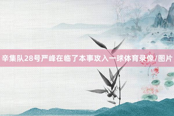 辛集队28号严峰在临了本事攻入一球体育录像/图片