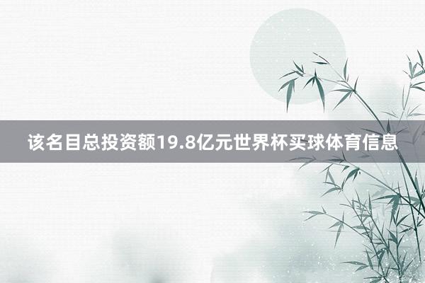 该名目总投资额19.8亿元世界杯买球体育信息