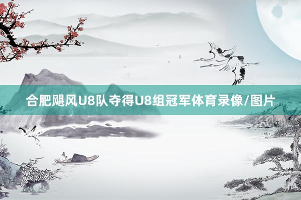 合肥飓风U8队夺得U8组冠军体育录像/图片