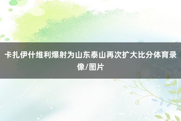 卡扎伊什维利爆射为山东泰山再次扩大比分体育录像/图片