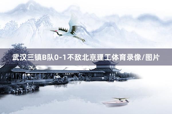 武汉三镇B队0-1不敌北京理工体育录像/图片