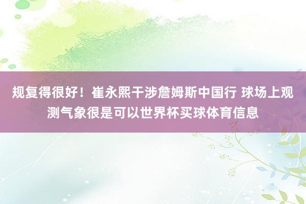 规复得很好！崔永熙干涉詹姆斯中国行 球场上观测气象很是可以世界杯买球体育信息