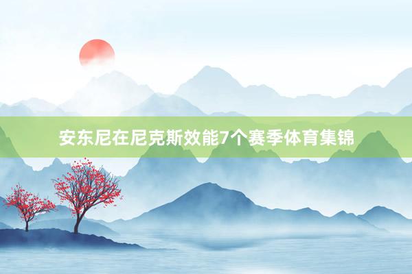 安东尼在尼克斯效能7个赛季体育集锦