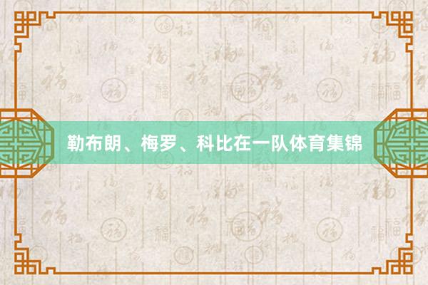 勒布朗、梅罗、科比在一队体育集锦