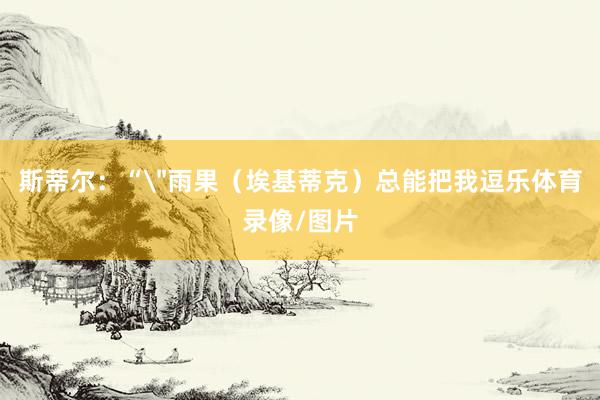 斯蒂尔：“