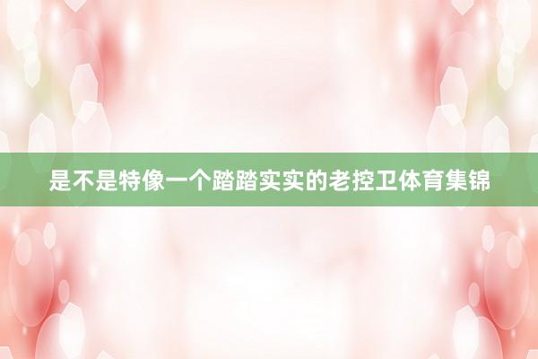 是不是特像一个踏踏实实的老控卫体育集锦