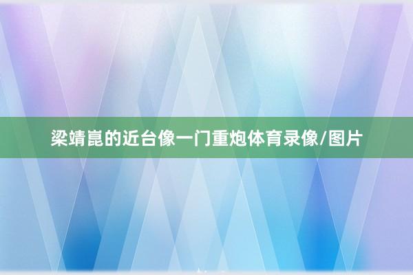 梁靖崑的近台像一门重炮体育录像/图片