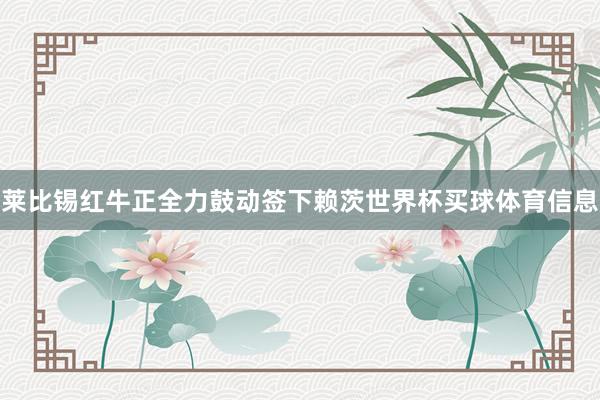莱比锡红牛正全力鼓动签下赖茨世界杯买球体育信息