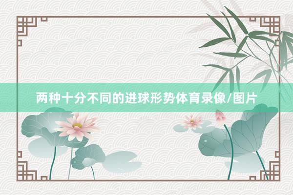 两种十分不同的进球形势体育录像/图片