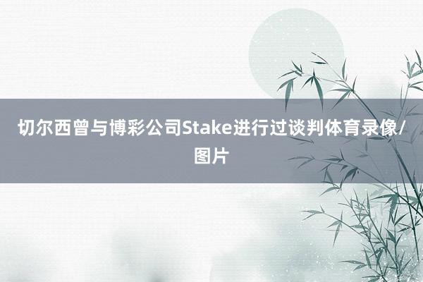 切尔西曾与博彩公司Stake进行过谈判体育录像/图片