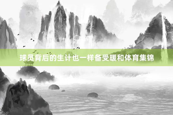 球员背后的生计也一样备受暖和体育集锦