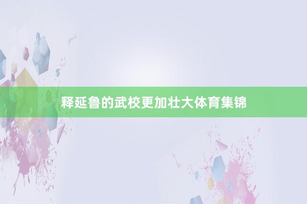 释延鲁的武校更加壮大体育集锦
