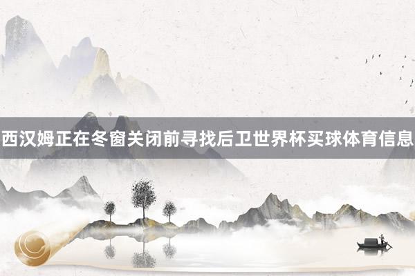 西汉姆正在冬窗关闭前寻找后卫世界杯买球体育信息