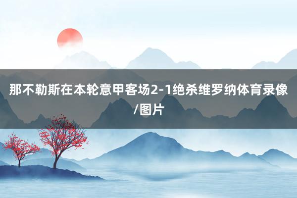 那不勒斯在本轮意甲客场2-1绝杀维罗纳体育录像/图片