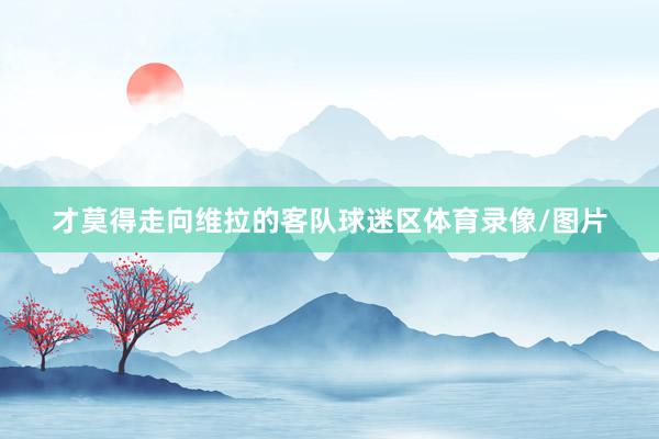 才莫得走向维拉的客队球迷区体育录像/图片