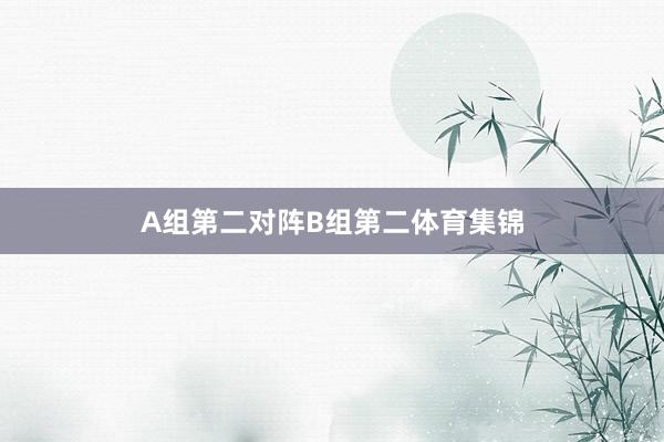 A组第二对阵B组第二体育集锦