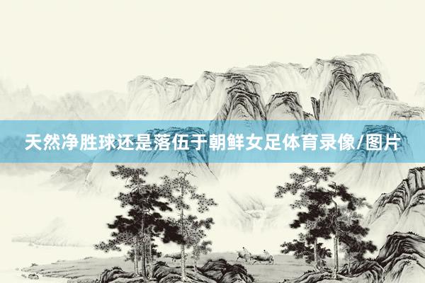 天然净胜球还是落伍于朝鲜女足体育录像/图片