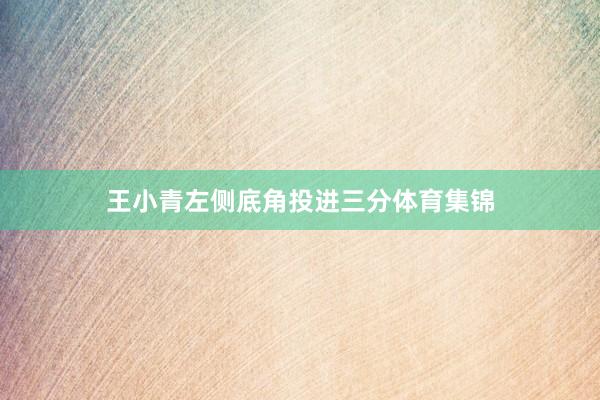 王小青左侧底角投进三分体育集锦