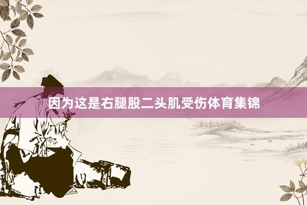因为这是右腿股二头肌受伤体育集锦