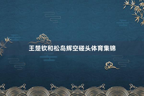王楚钦和松岛辉空碰头体育集锦