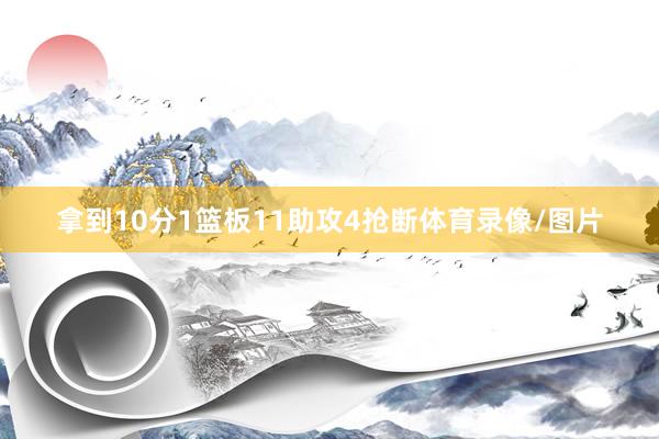 拿到10分1篮板11助攻4抢断体育录像/图片