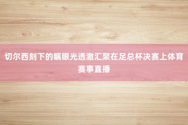 切尔西刻下的瞩眼光透澈汇聚在足总杯决赛上体育赛事直播