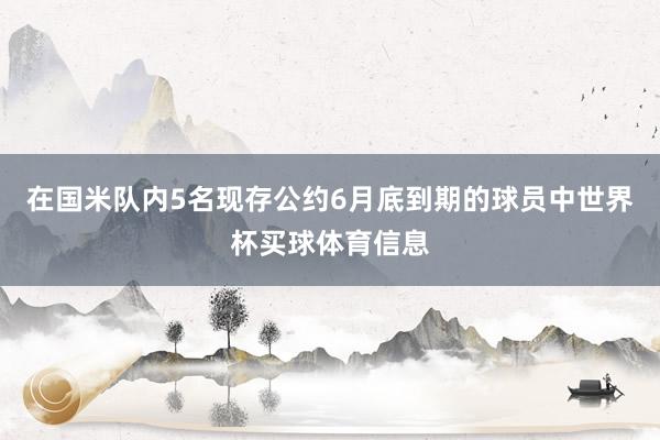 在国米队内5名现存公约6月底到期的球员中世界杯买球体育信息