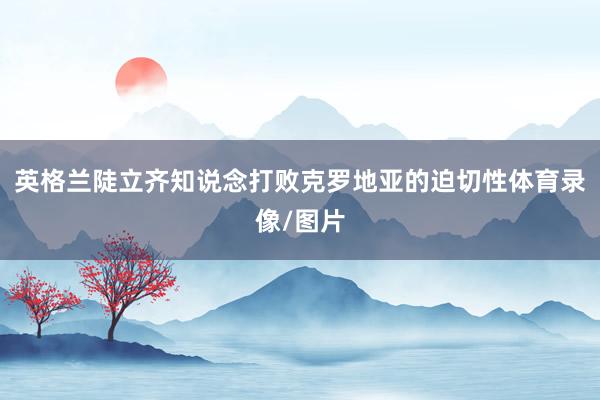 英格兰陡立齐知说念打败克罗地亚的迫切性体育录像/图片